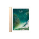 Apple iPad Pro 12.9" 2nd Gen (2017) 256GB WiFi